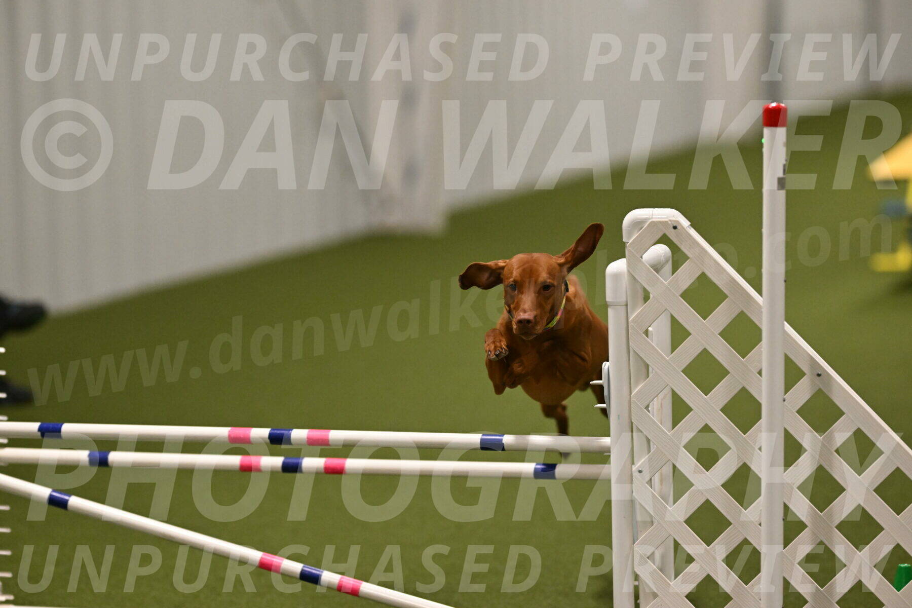 Rumble-Tim-Dillon-02870