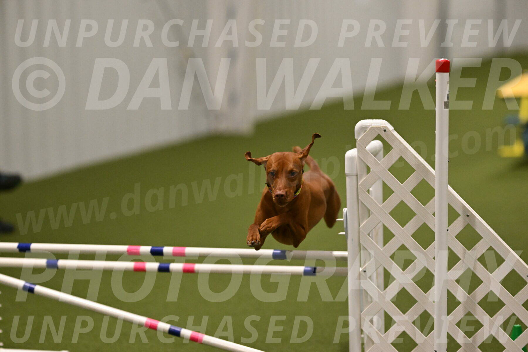 Rumble-Tim-Dillon-02871