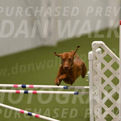 Rumble-Tim-Dillon-02871