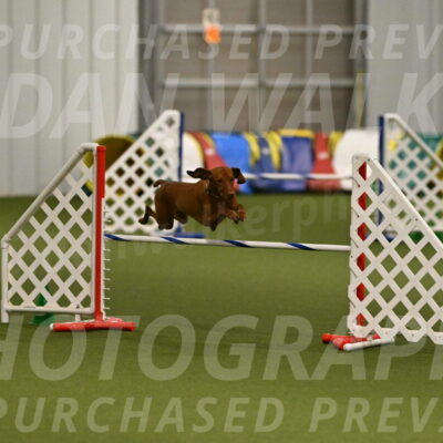 Rumble-Tim-Dillon-02872