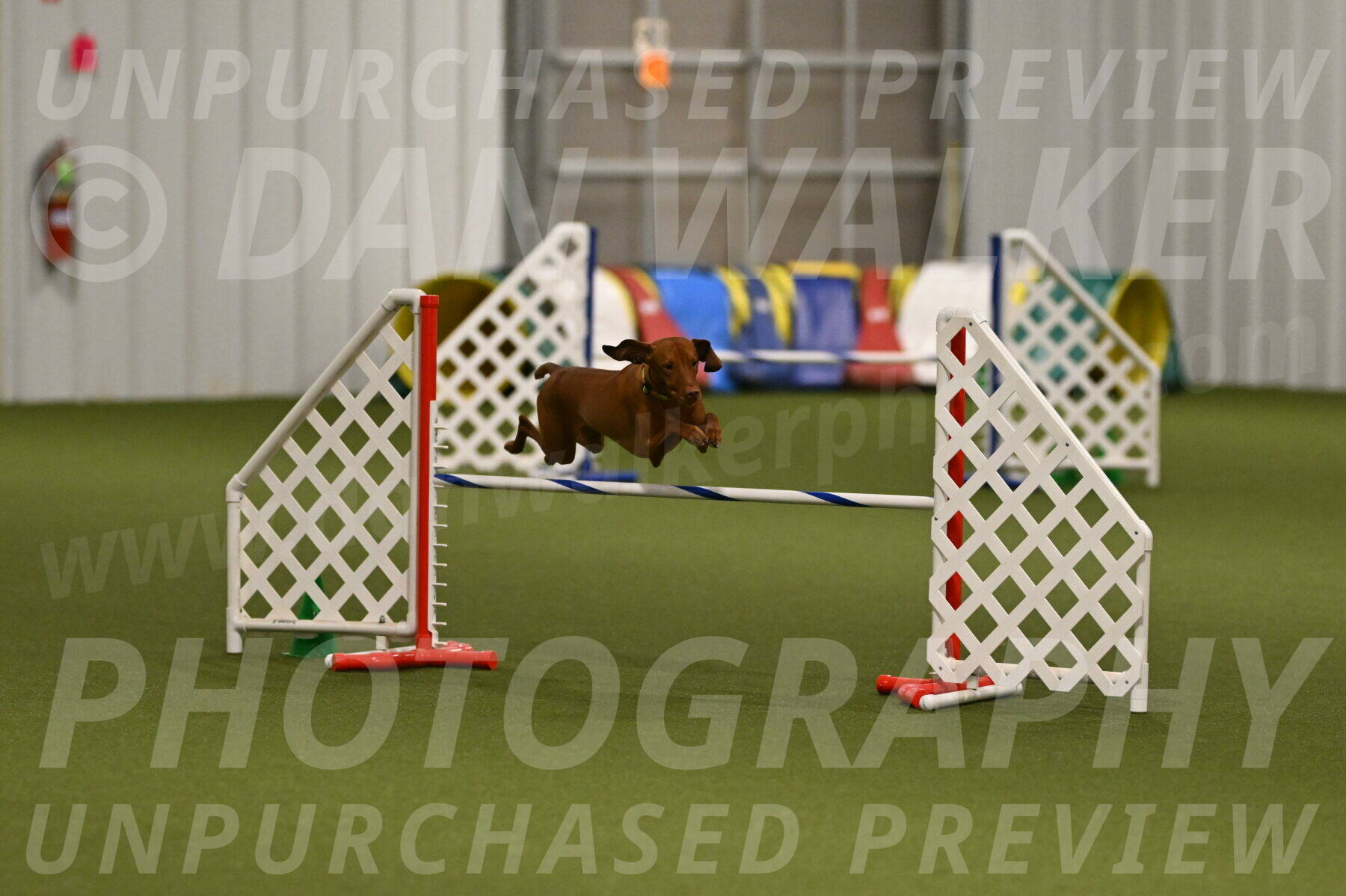 Rumble-Tim-Dillon-02872