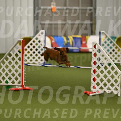 Rumble-Tim-Dillon-02873