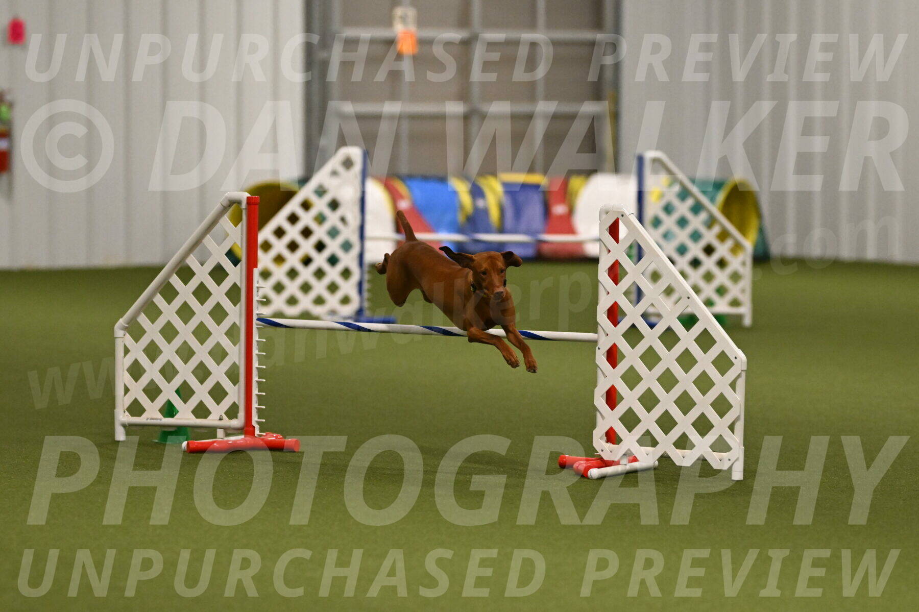 Rumble-Tim-Dillon-02874