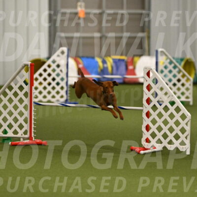 Rumble-Tim-Dillon-02874