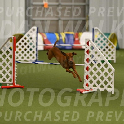 Rumble-Tim-Dillon-02875