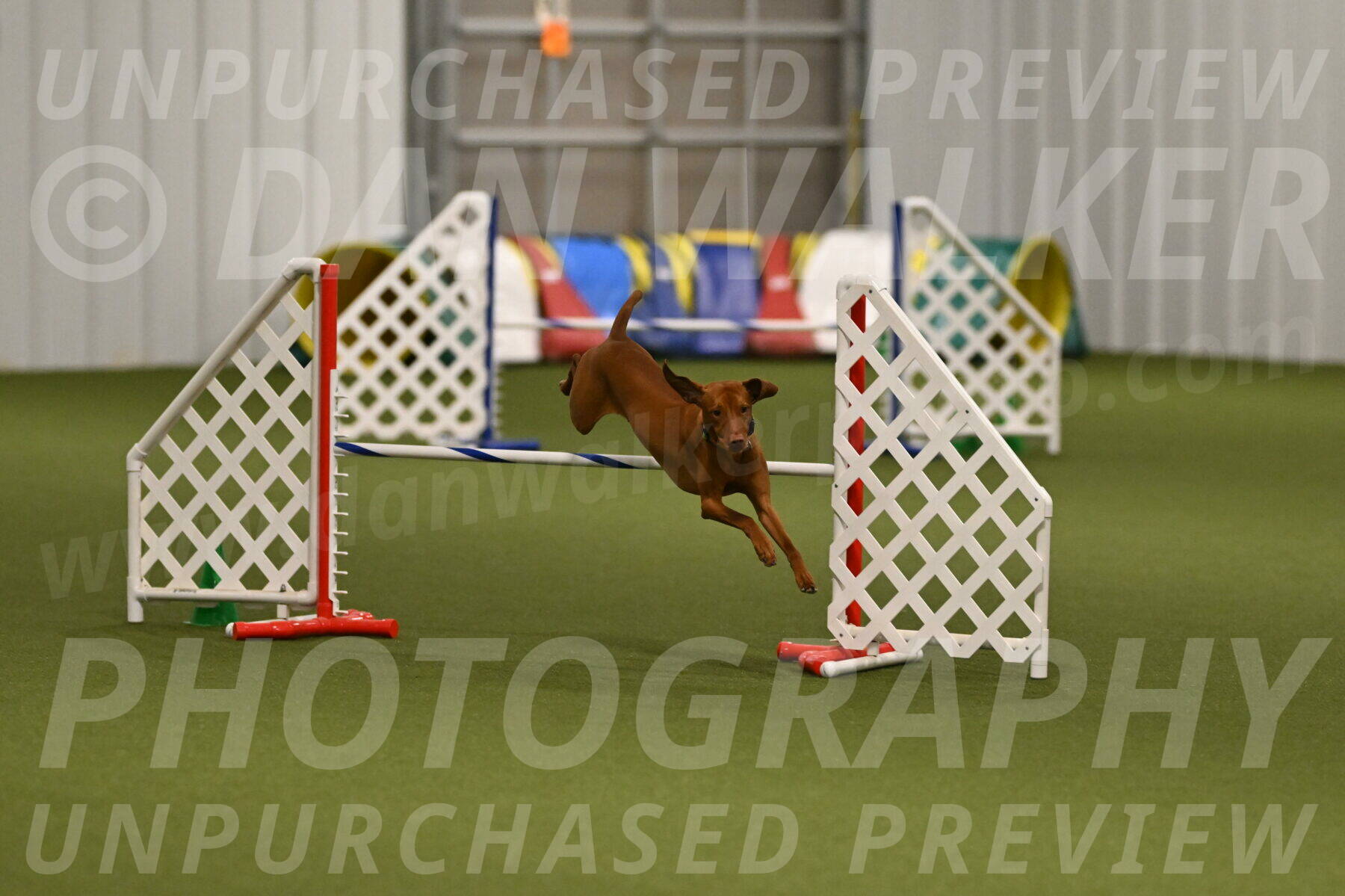 Rumble-Tim-Dillon-02875