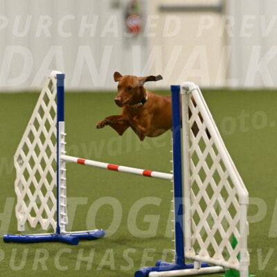 Rumble-Tim-Dillon-02876