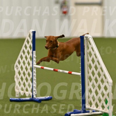 Rumble-Tim-Dillon-02877