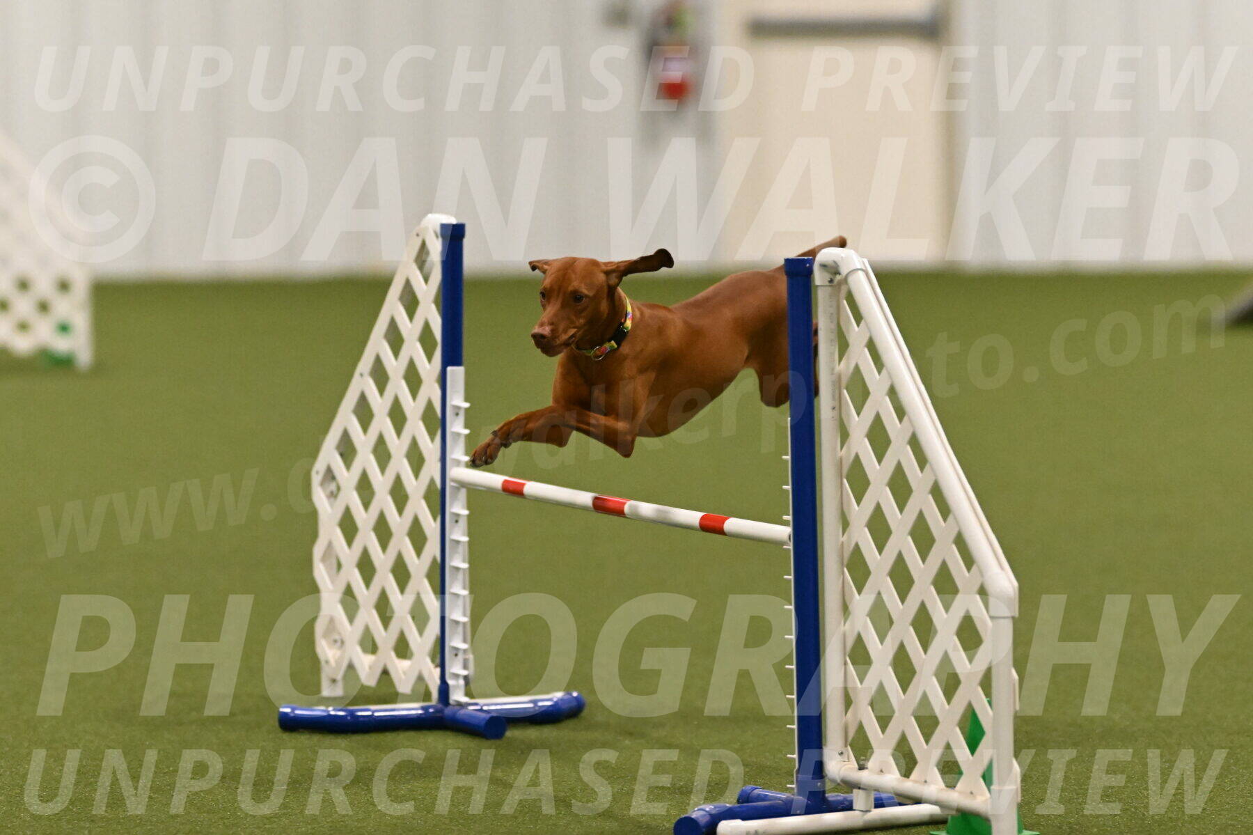 Rumble-Tim-Dillon-02877