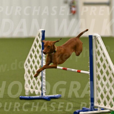 Rumble-Tim-Dillon-02878