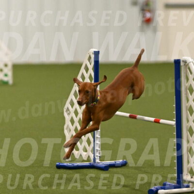 Rumble-Tim-Dillon-02879