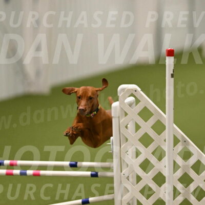 Rumble-Tim-Dillon-02880