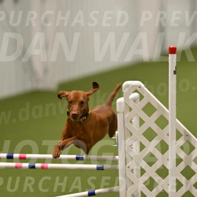 Rumble-Tim-Dillon-02881