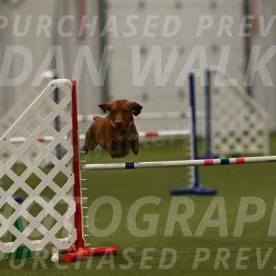 Rumble-Tim-Dillon-02882