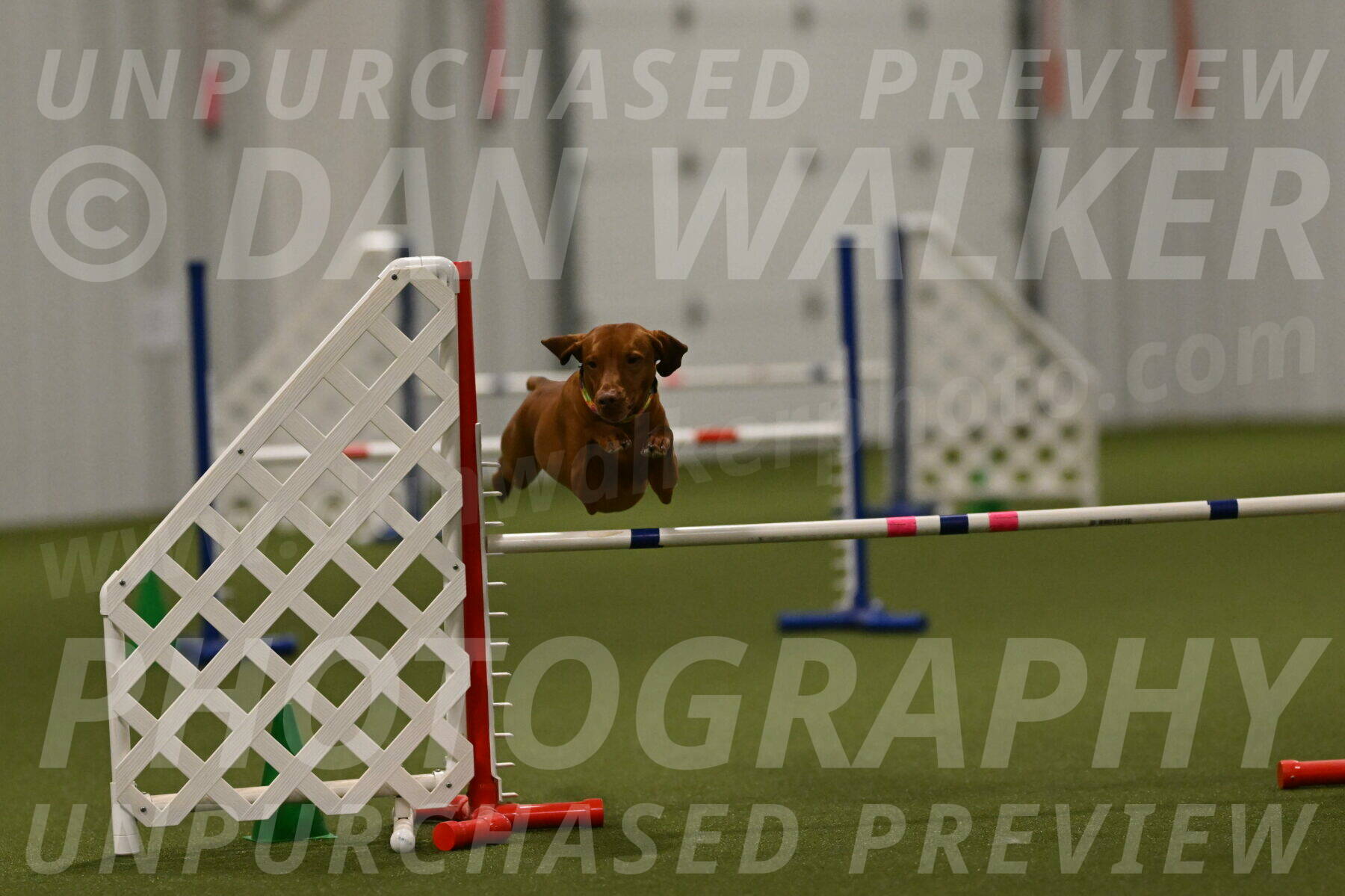 Rumble-Tim-Dillon-02882