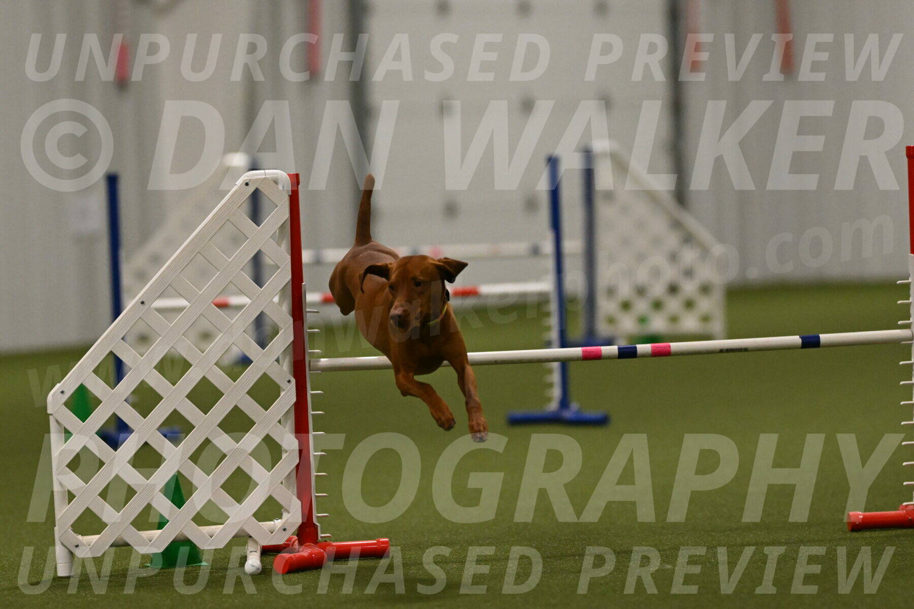 Rumble-Tim-Dillon-02883