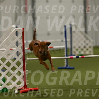 Rumble-Tim-Dillon-02883