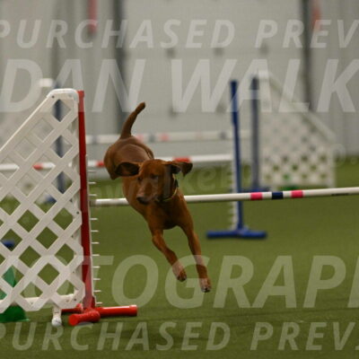 Rumble-Tim-Dillon-02884