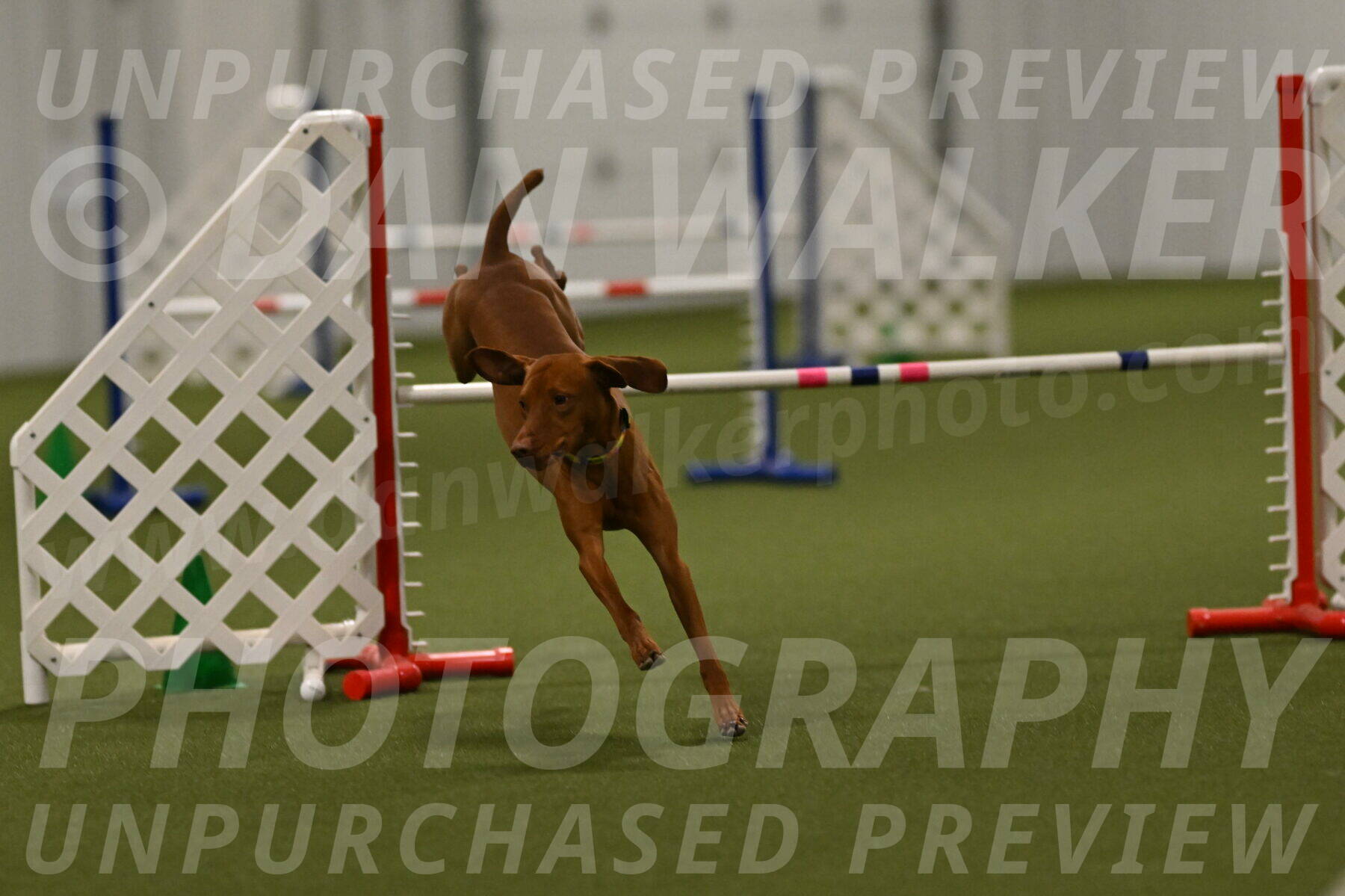 Rumble-Tim-Dillon-02885