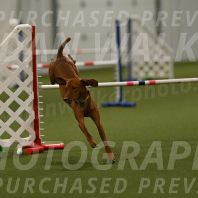 Rumble-Tim-Dillon-02885