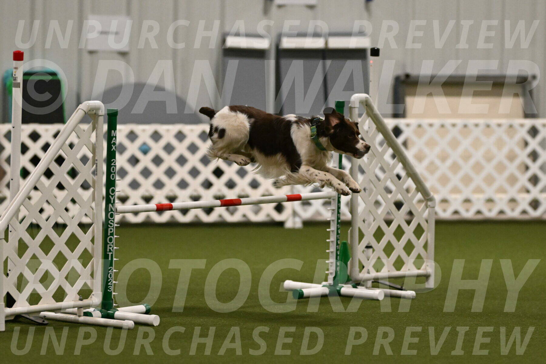 Rune-Jamie-Thompson-07976