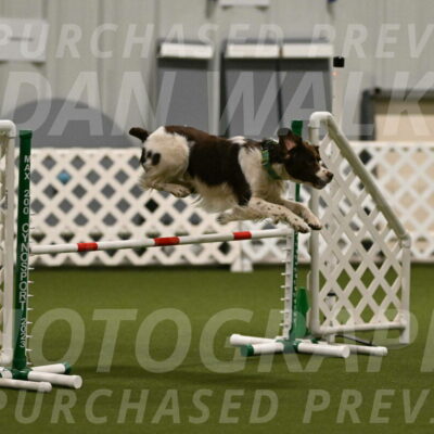 Rune-Jamie-Thompson-07976