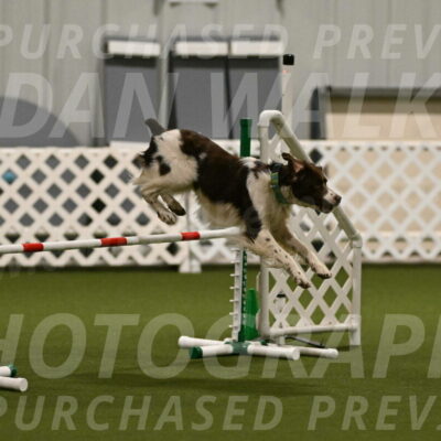 Rune-Jamie-Thompson-07977