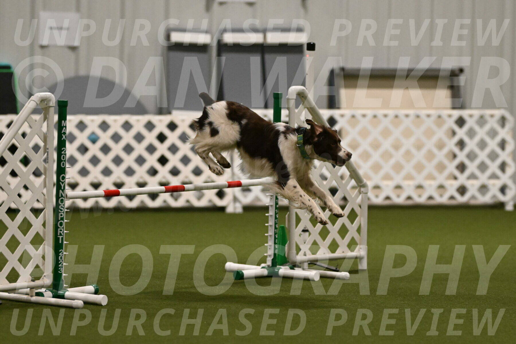 Rune-Jamie-Thompson-07977