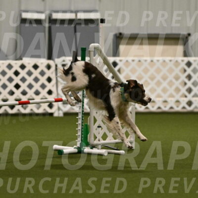 Rune-Jamie-Thompson-07978