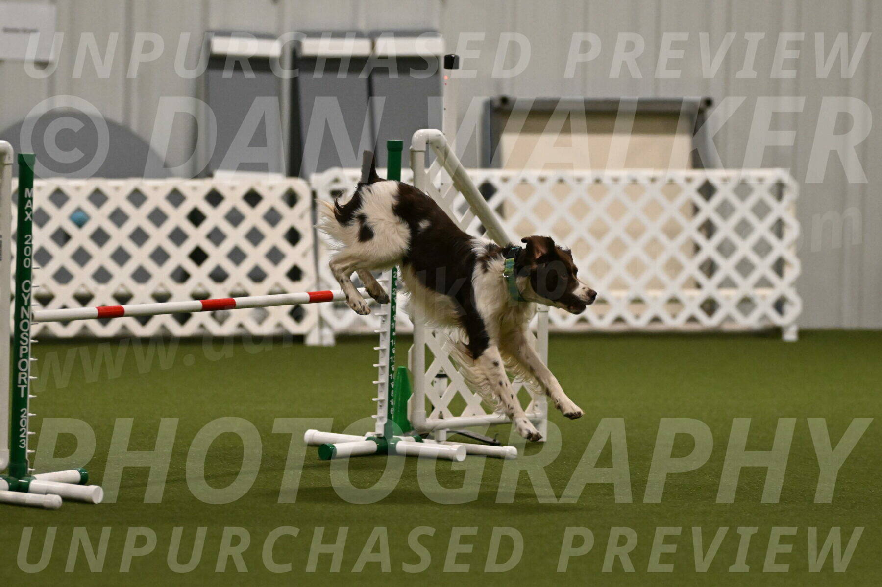 Rune-Jamie-Thompson-07978