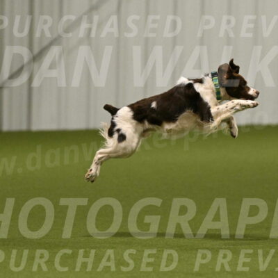 Rune-Jamie-Thompson-07979