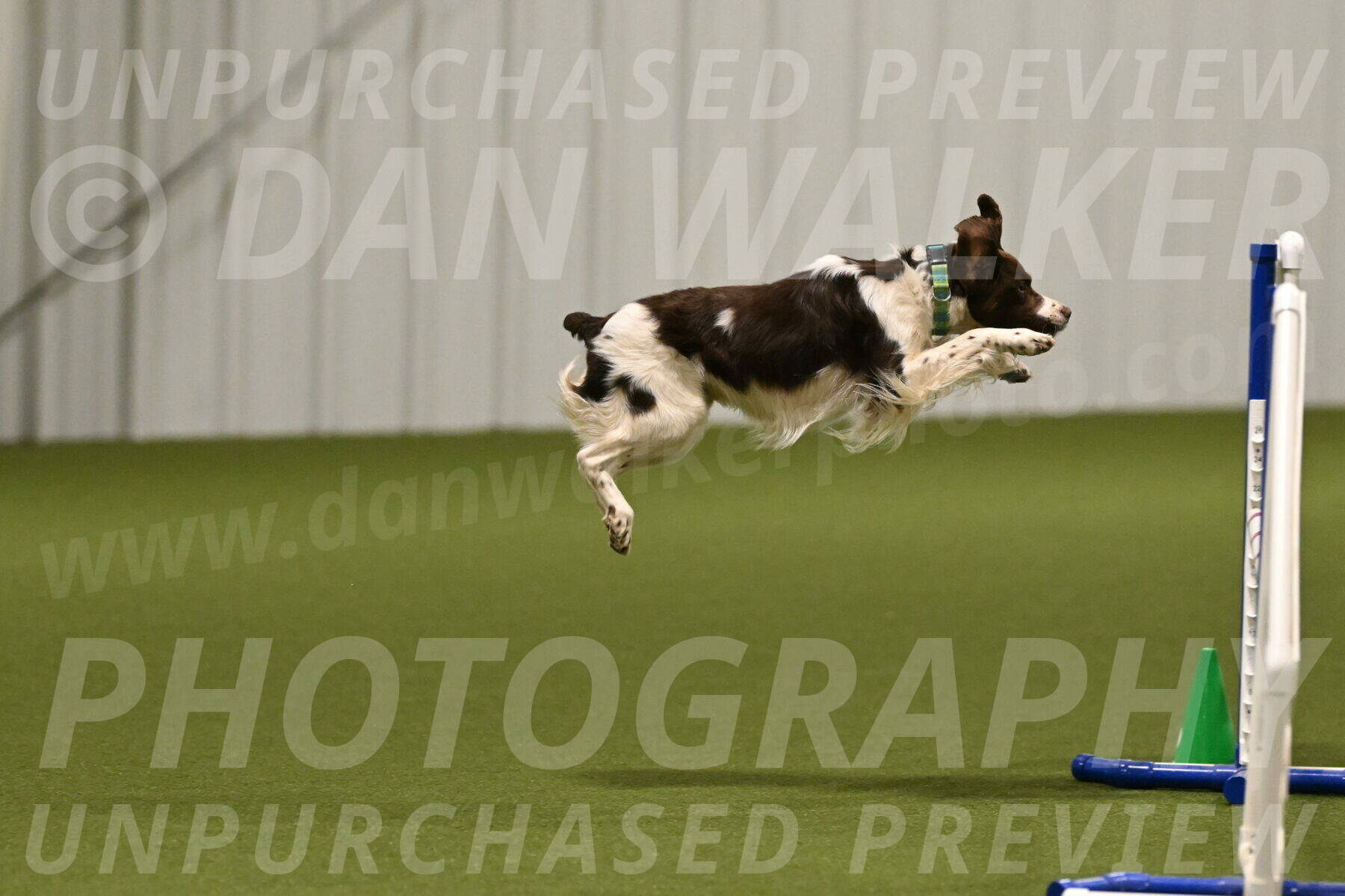 Rune-Jamie-Thompson-07980