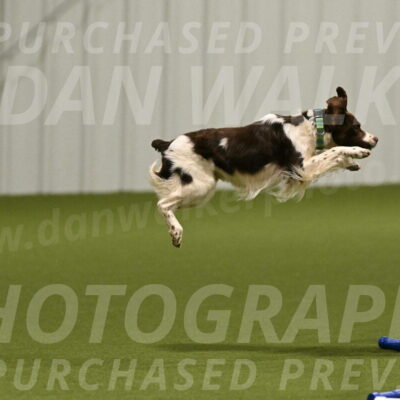 Rune-Jamie-Thompson-07980