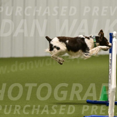 Rune-Jamie-Thompson-07981