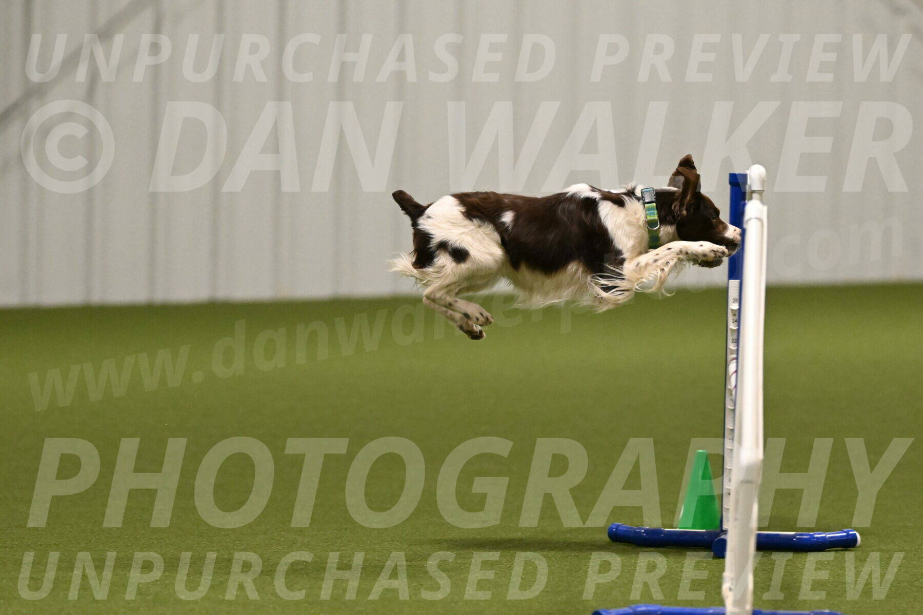 Rune-Jamie-Thompson-07981