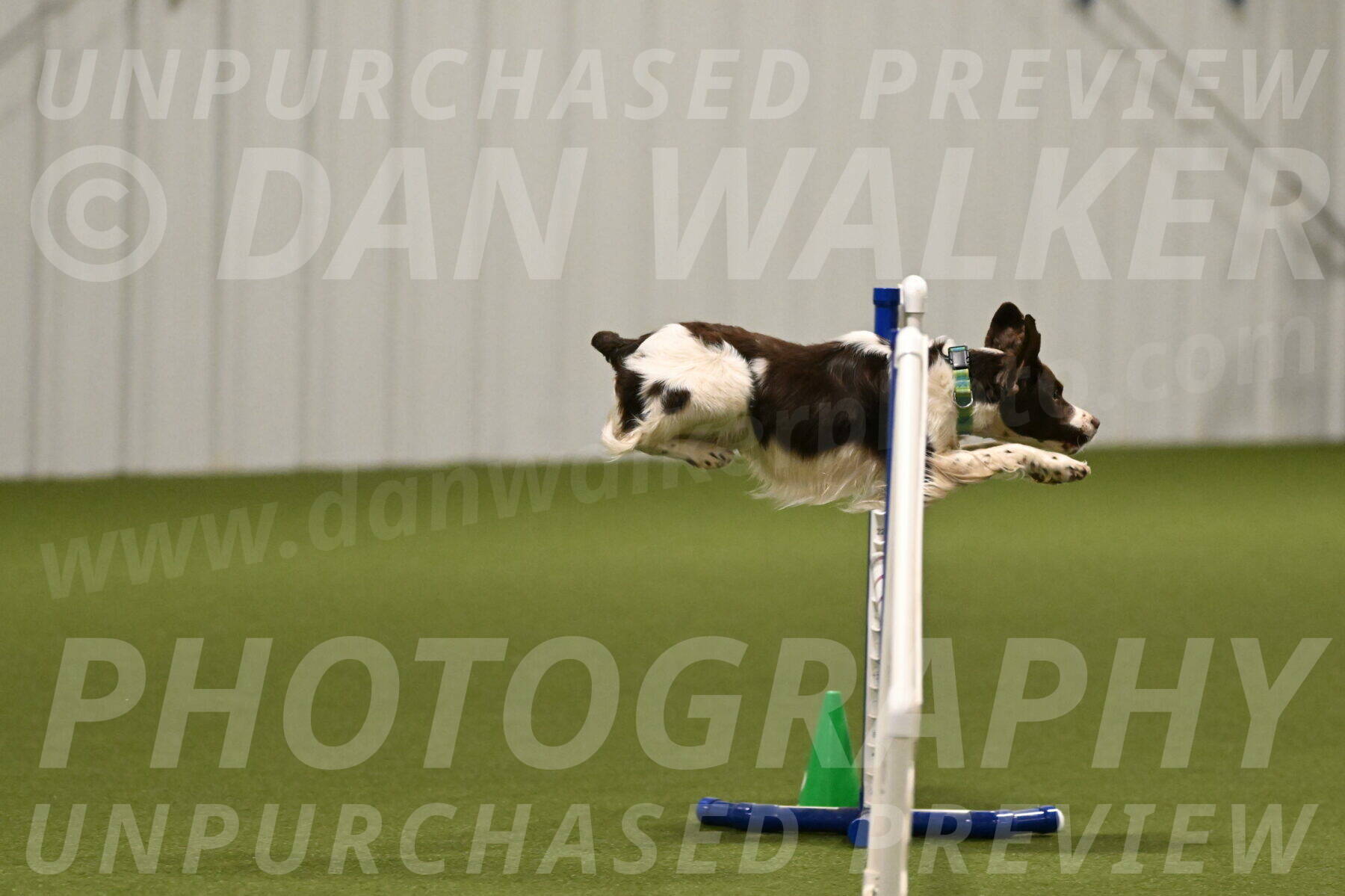 Rune-Jamie-Thompson-07982