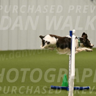 Rune-Jamie-Thompson-07982