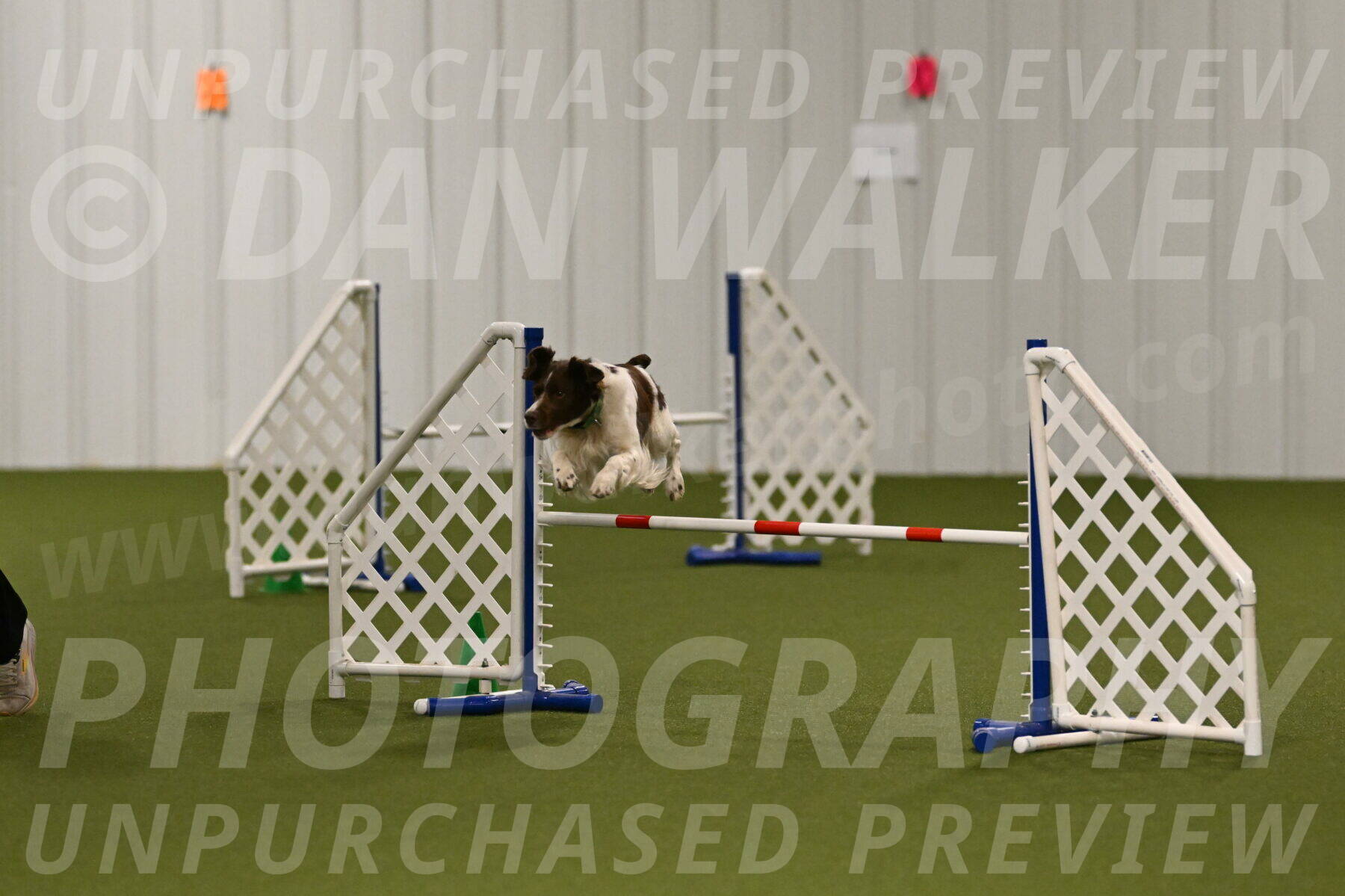 Rune-Jamie-Thompson-07983