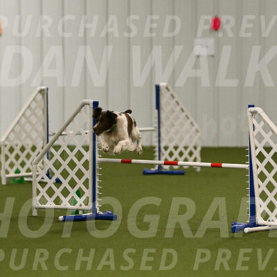 Rune-Jamie-Thompson-07983