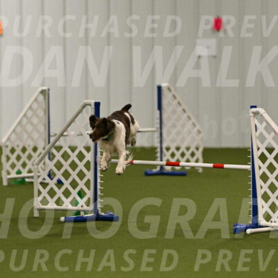 Rune-Jamie-Thompson-07984