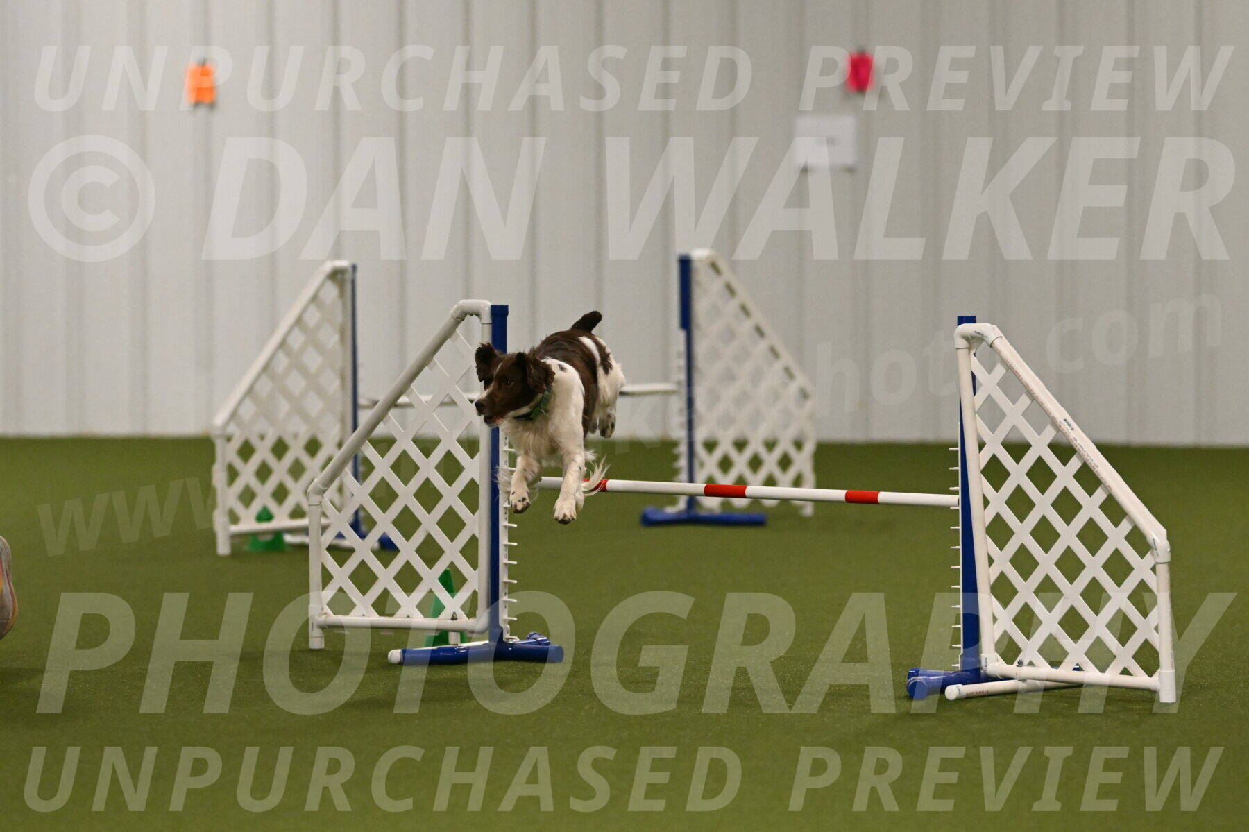 Rune-Jamie-Thompson-07984