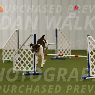 Rune-Jamie-Thompson-07985