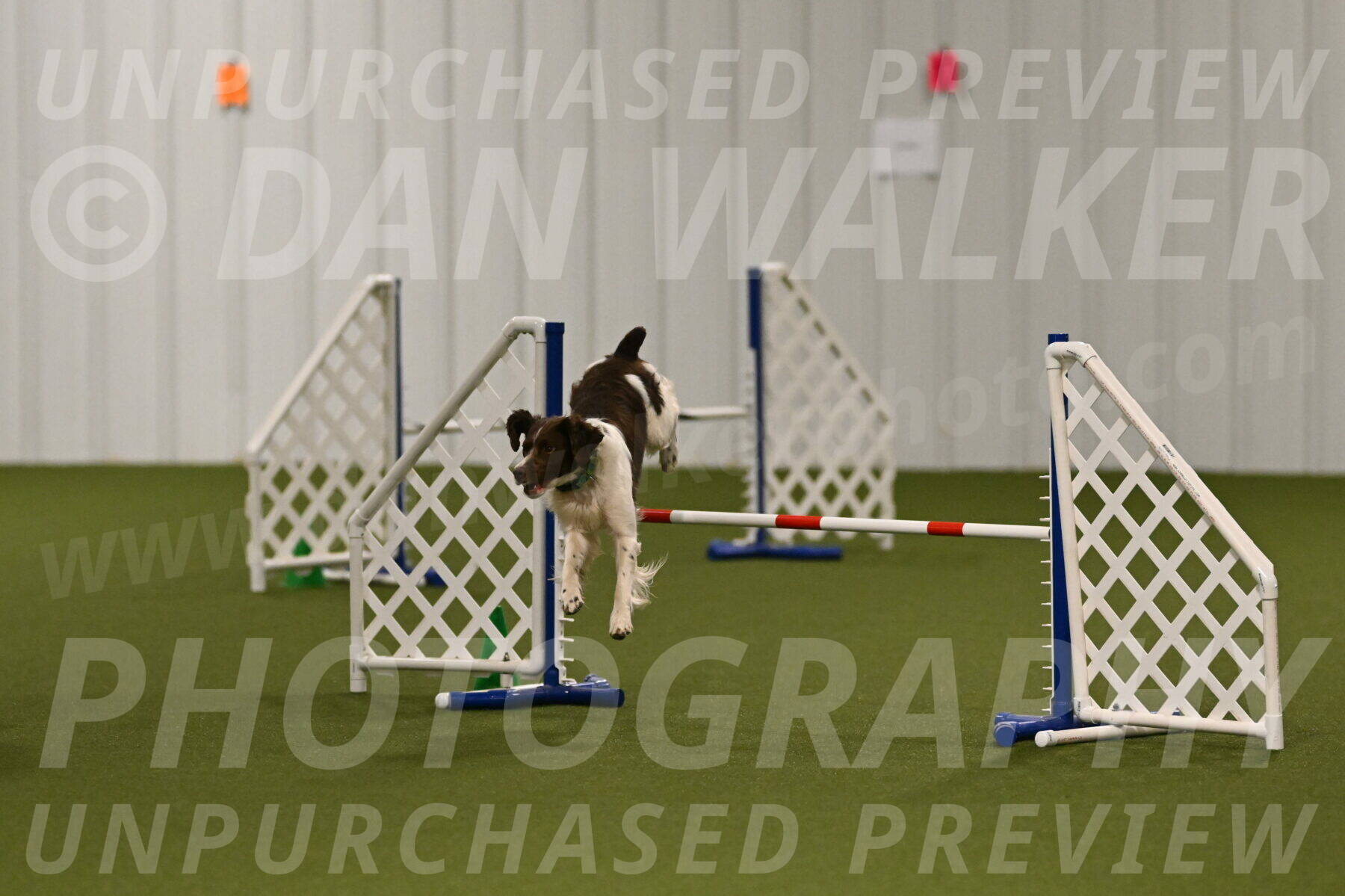 Rune-Jamie-Thompson-07985