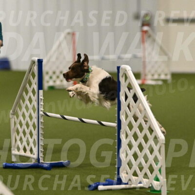 Rune-Jamie-Thompson-07986