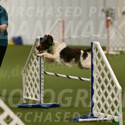 Rune-Jamie-Thompson-07987