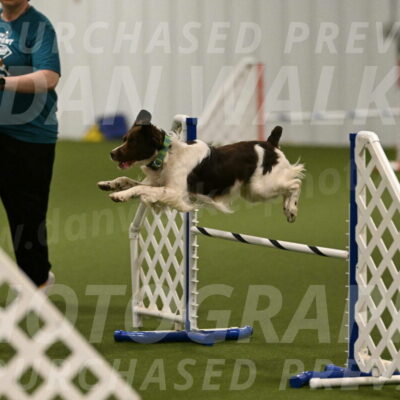 Rune-Jamie-Thompson-07988