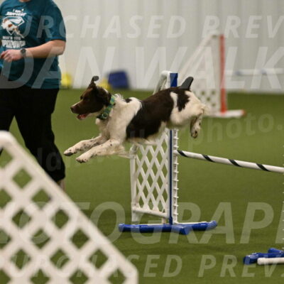 Rune-Jamie-Thompson-07989