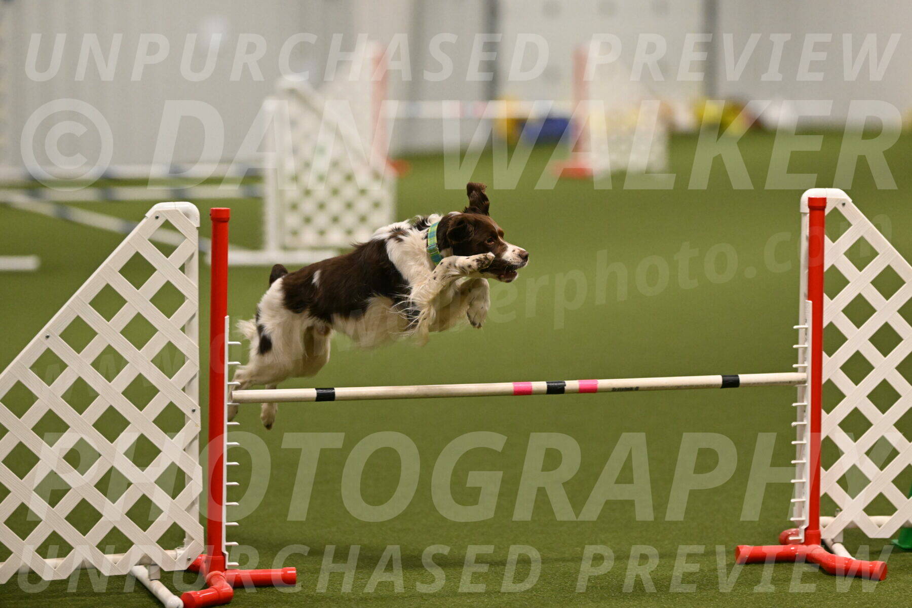 Rune-Jamie-Thompson-07990