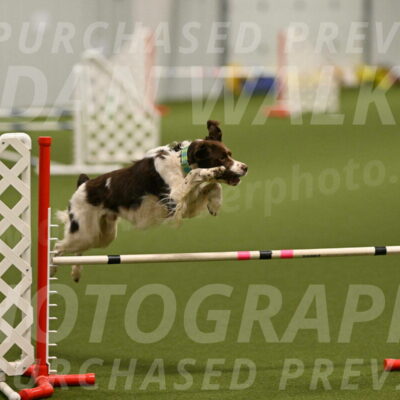 Rune-Jamie-Thompson-07990