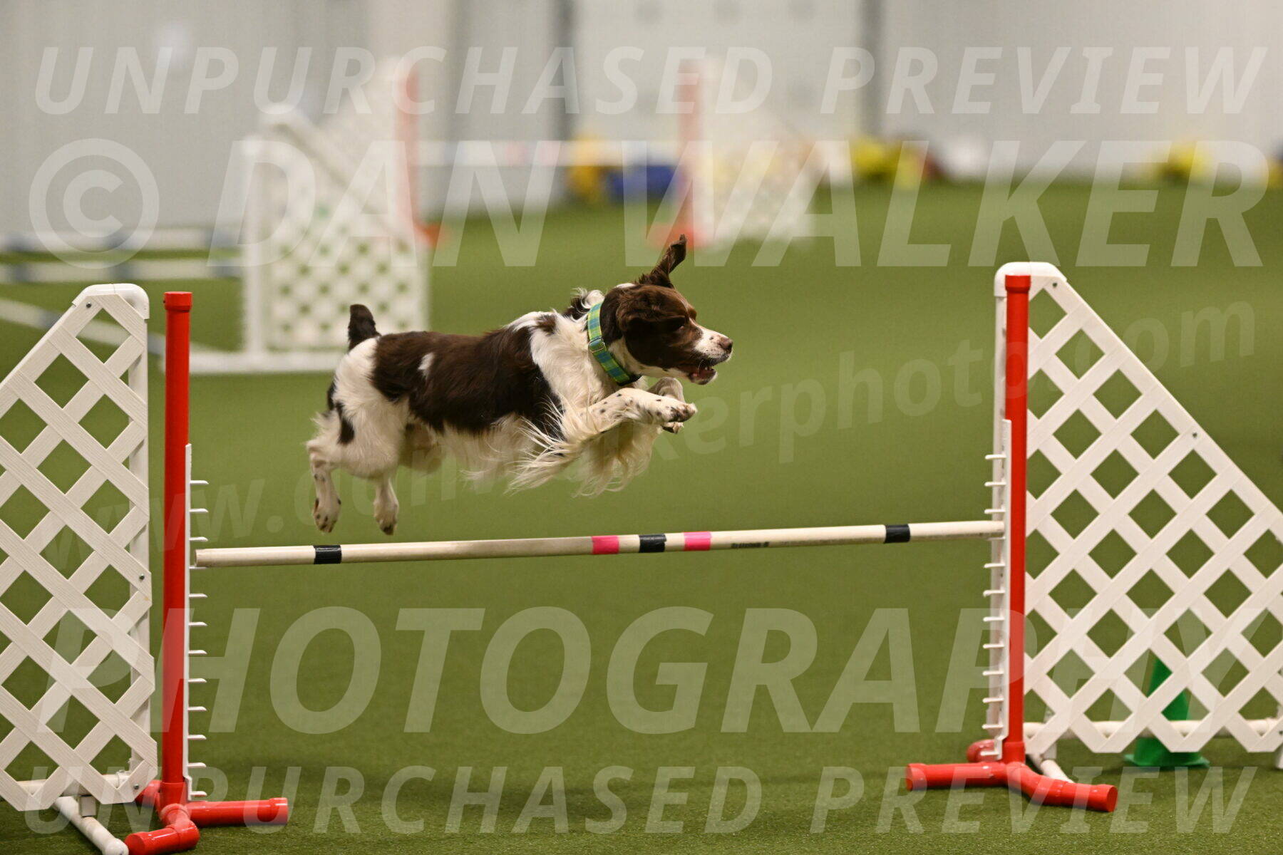 Rune-Jamie-Thompson-07991